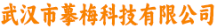 武汉市摹梅科技有限公司